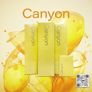 CANYON LIGHT